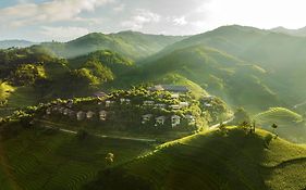 Garrya Mu Cang Chai